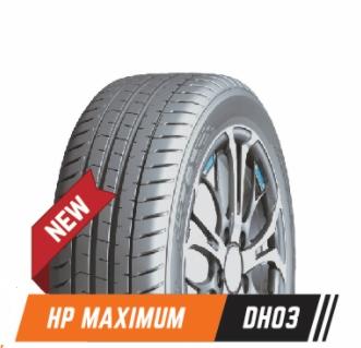 245/45R18 100 W XL DH03